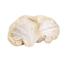 Lion's Mane